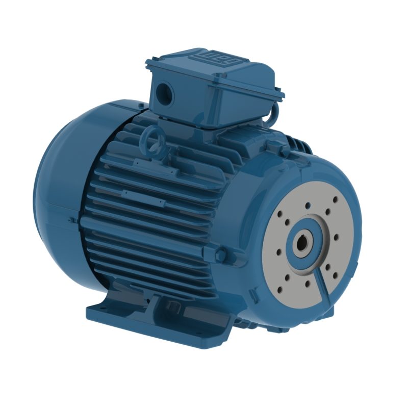 WEG Pump Motors